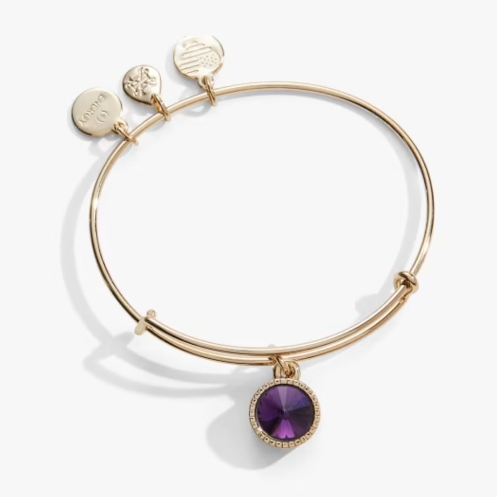 Alex + Ani February Birthstone Charm Bangle, Amethyst